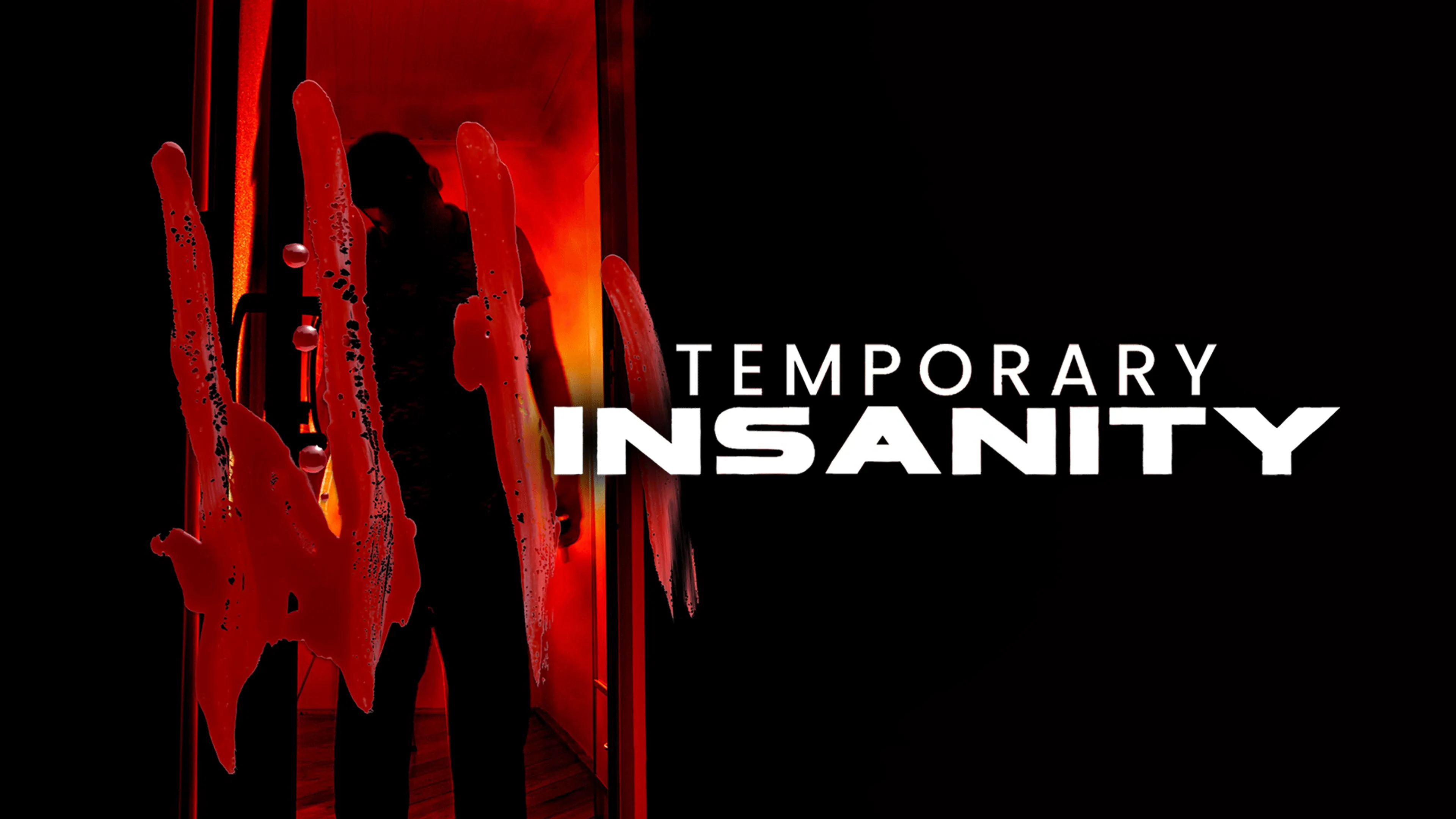 Temporary Insanity poster